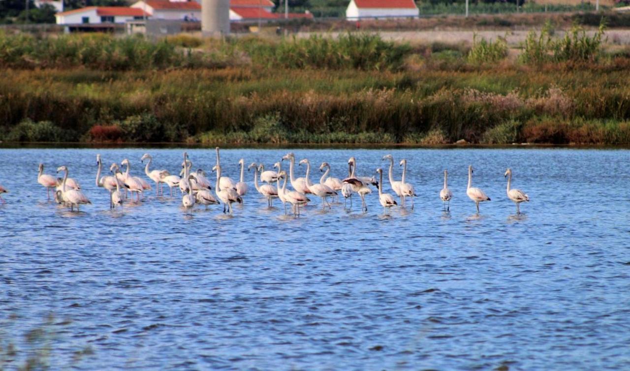 Stella Di Mare - Alojamento Local Figueira da Foz Zewnętrze zdjęcie